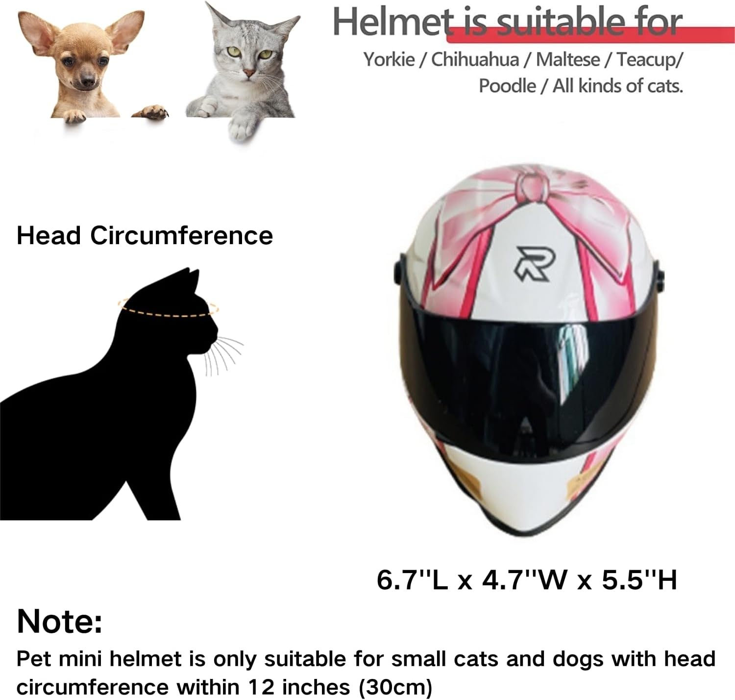 Cat Motorcycle Helmet Full Fac - Motorcycle Gear Dogs review and price