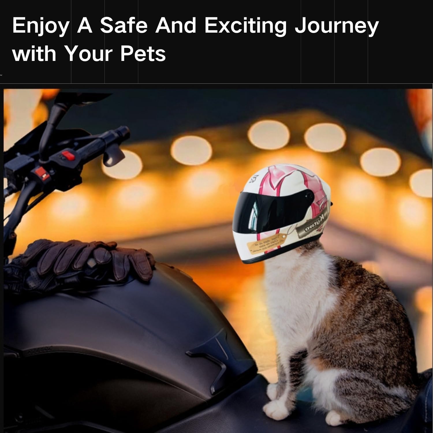 Cat Motorcycle Helmet Full Fac - Motorcycle Gear Dogs review and price