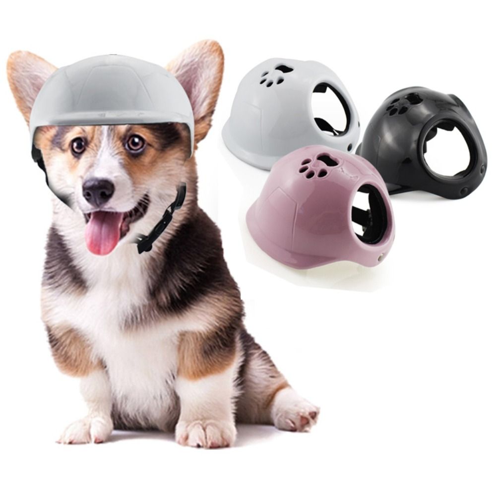 Plastic Pet Dog Helmets With E - Motorcycle Gear Dogs review and price