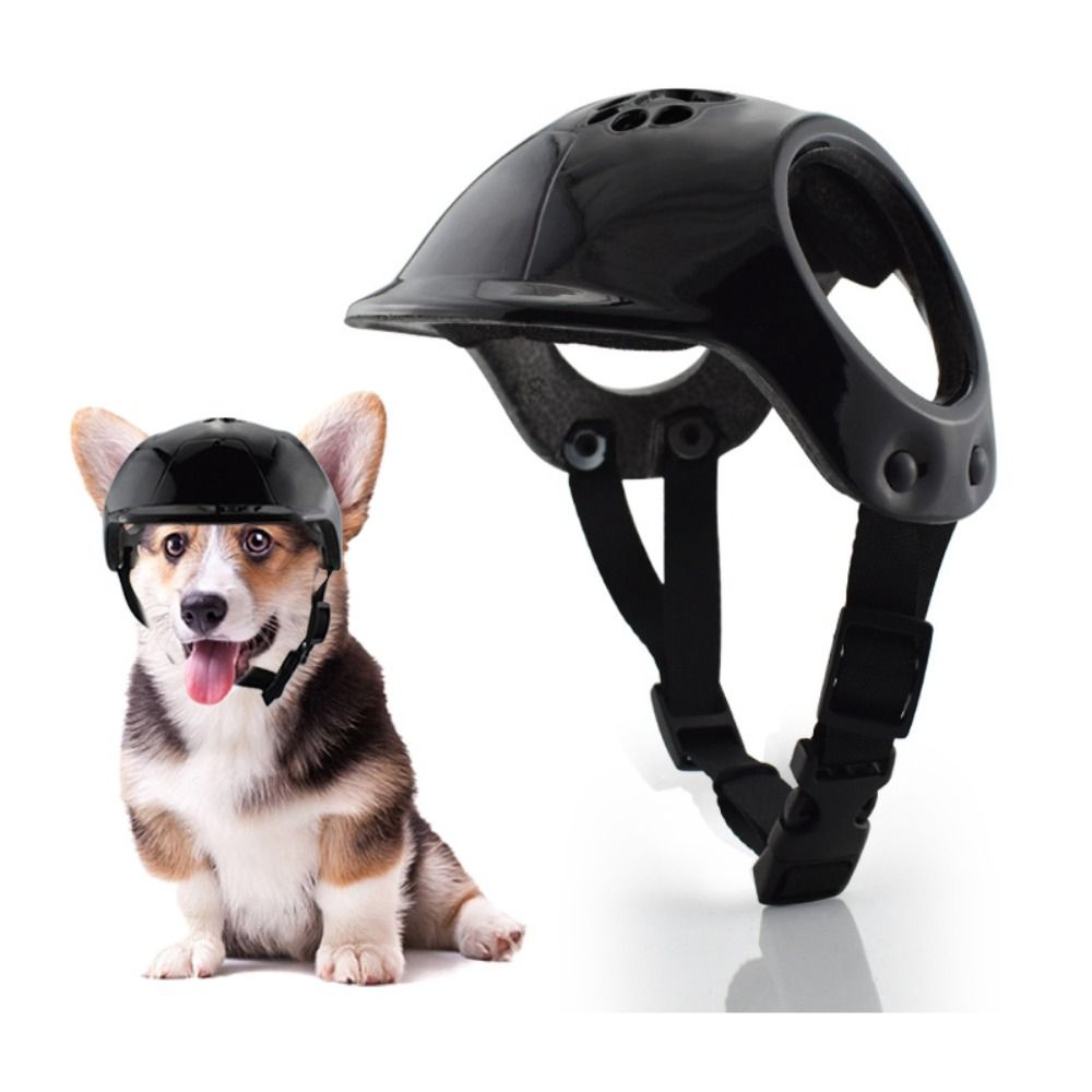 Plastic Pet Dog Helmets With E - Motorcycle Gear Dogs review and price