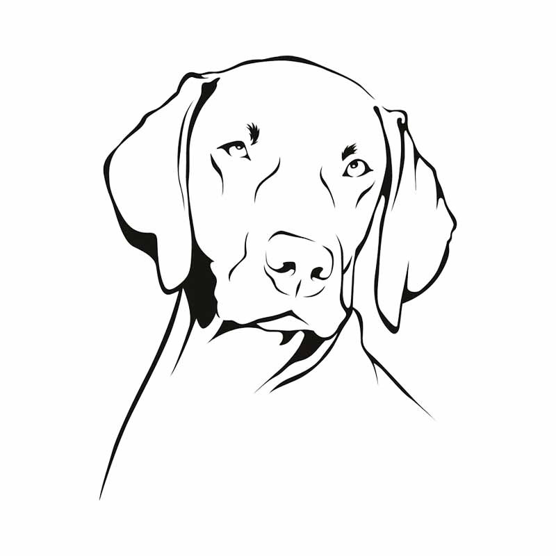 Weimaraner Dog Outline Waterpr - Motorcycle Gear Dogs review and price