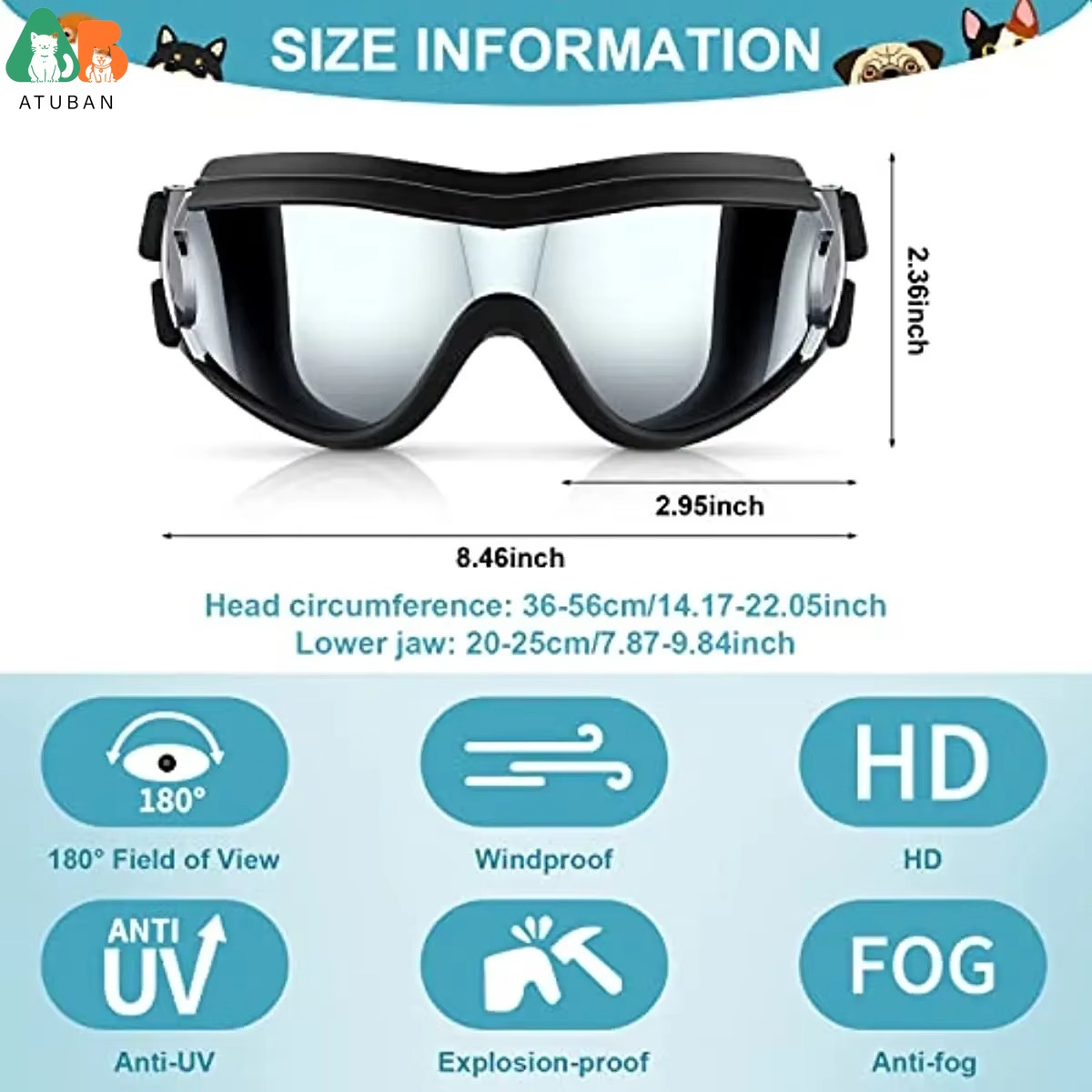 Dog Sunglasses Pet Helmet Set  - Motorcycle Gear Dogs review and price