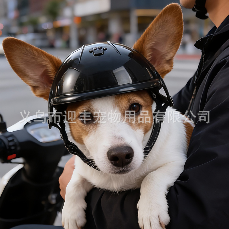 Pink Motorcycle Pet Helmet wit - Motorcycle Gear Dogs review and price