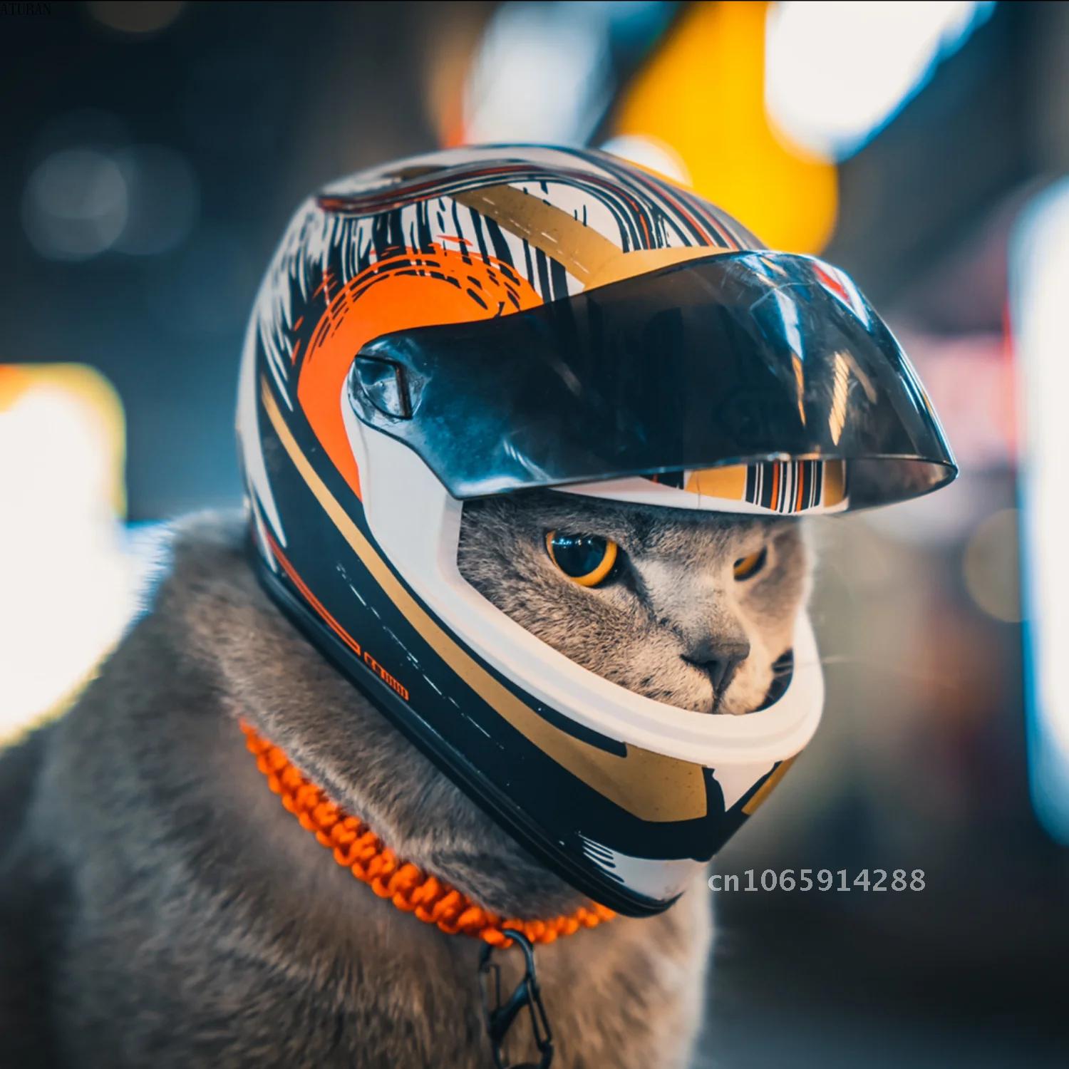 Photo Pet Helmets,Cat Helmet,D - Motorcycle Gear Dogs review and price