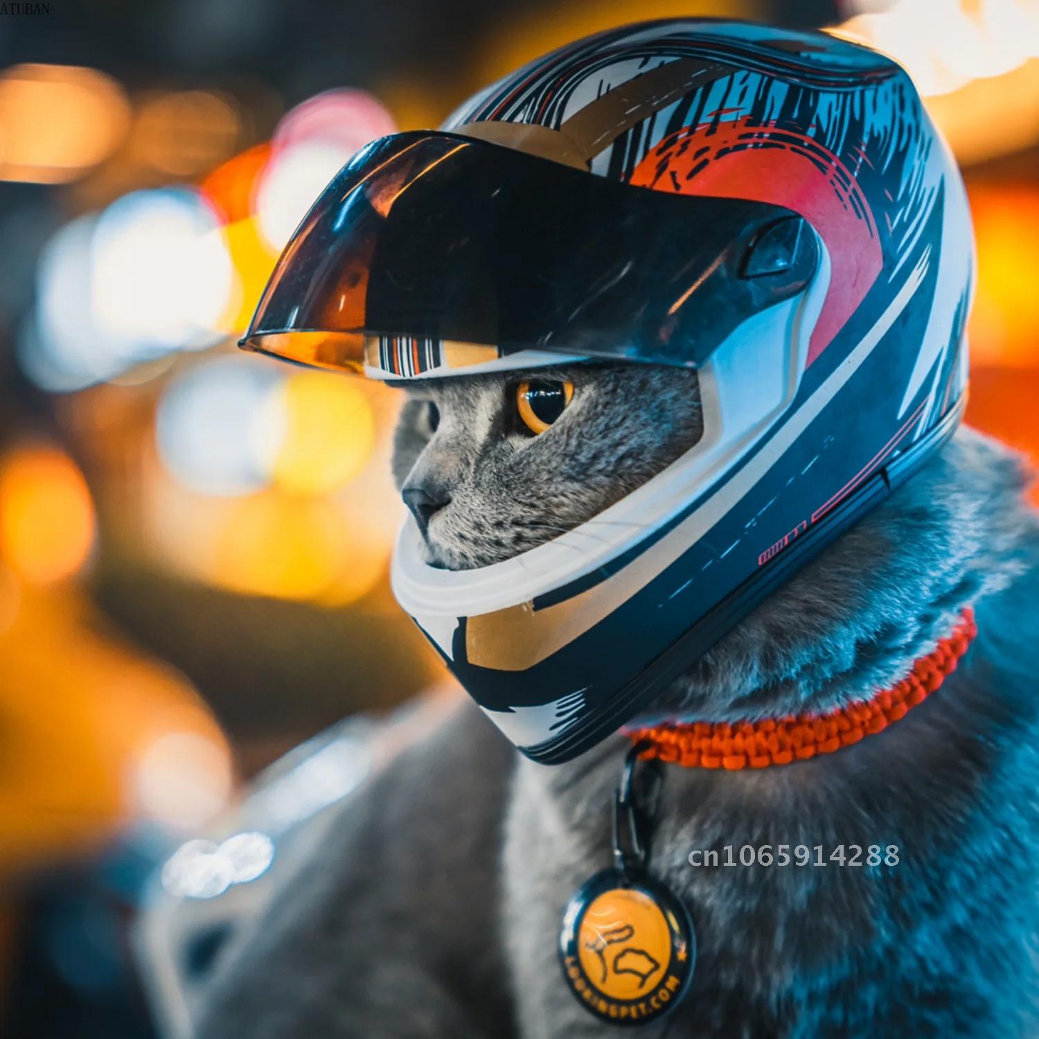 Photo Pet Helmets,Cat Helmet,D - Motorcycle Gear Dogs review and price