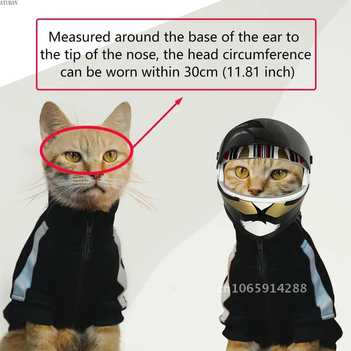 Photo Pet Helmets,Cat Helmet,D - Motorcycle Gear Dogs review and price