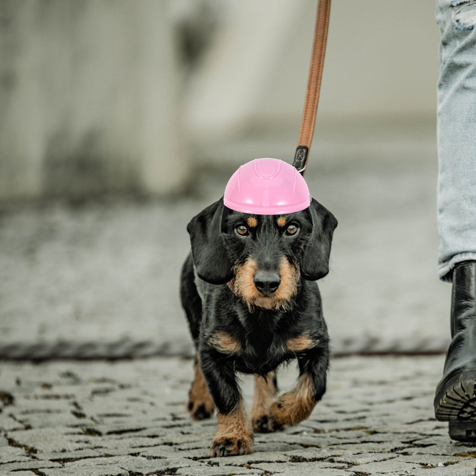 Small Dog Adjustable Pet Safet - Motorcycle Gear Dogs review and price