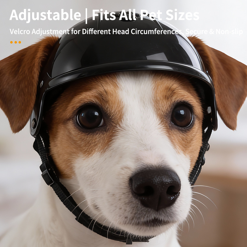 Mini Motorcycle Pet Helmet Dec - Motorcycle Gear Dogs review and price