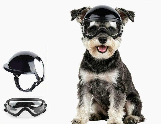 Dog Sunglasses and Pet Helmet  - Motorcycle Gear Dogs review and price