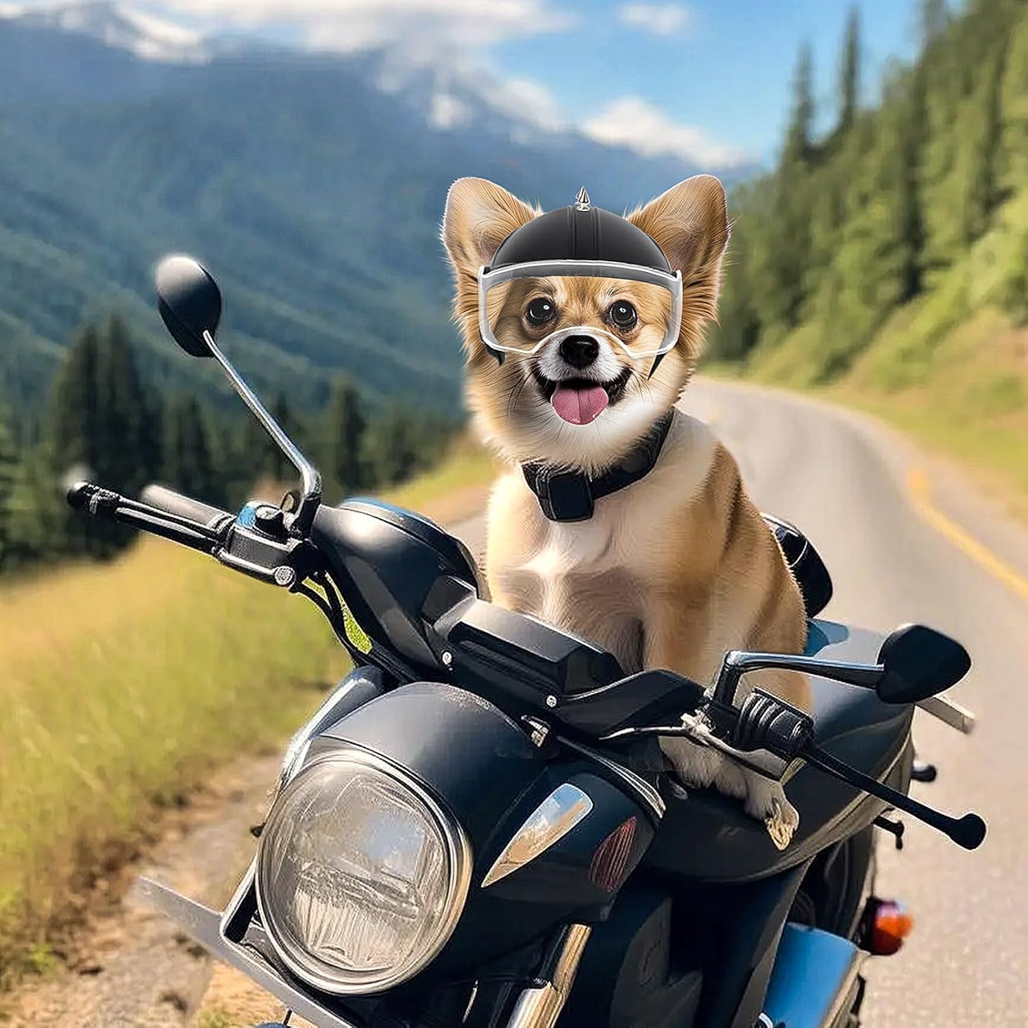 Small Dog Helmet Pet Motorcycl - Motorcycle Gear Dogs review and price